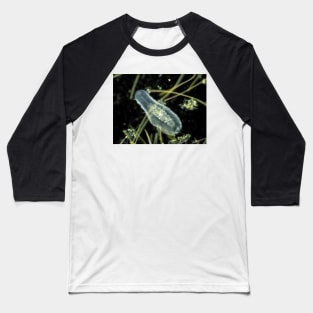 Gastrotrich under the microscope Baseball T-Shirt